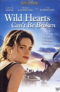 Wild Hearts Can't Be Broken